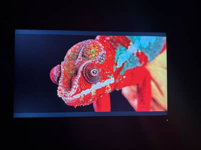 Lenovo thinkvision 2k
