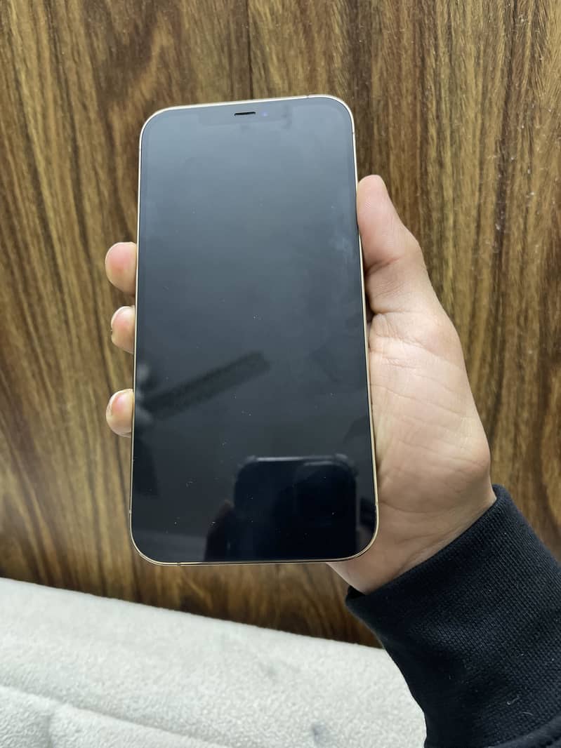 Apple iPhone 12 Pro Max 1