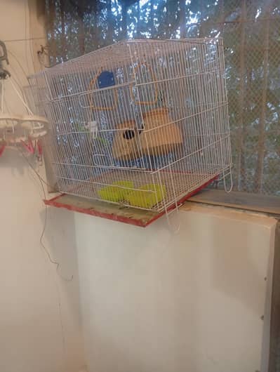 Bird cage