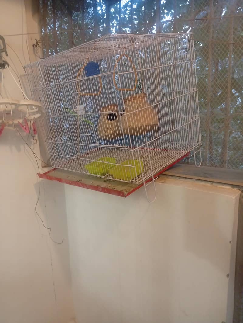 Bird cage 0