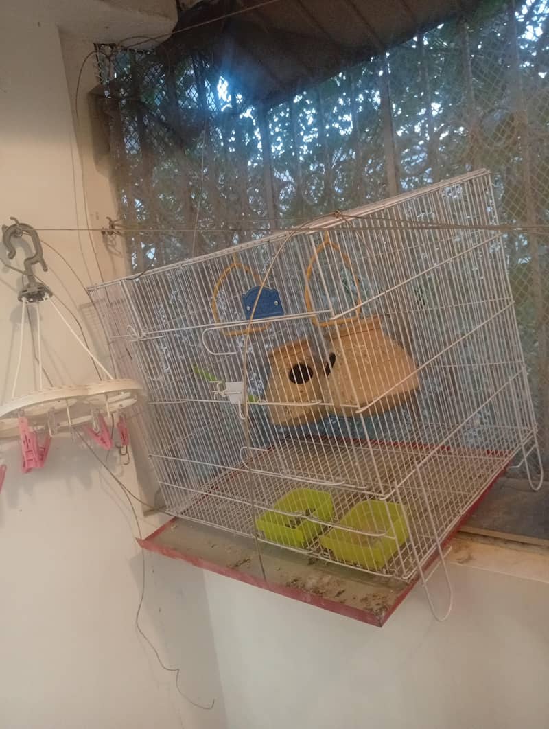 Bird cage 1