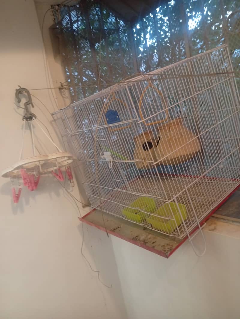 Bird cage 2
