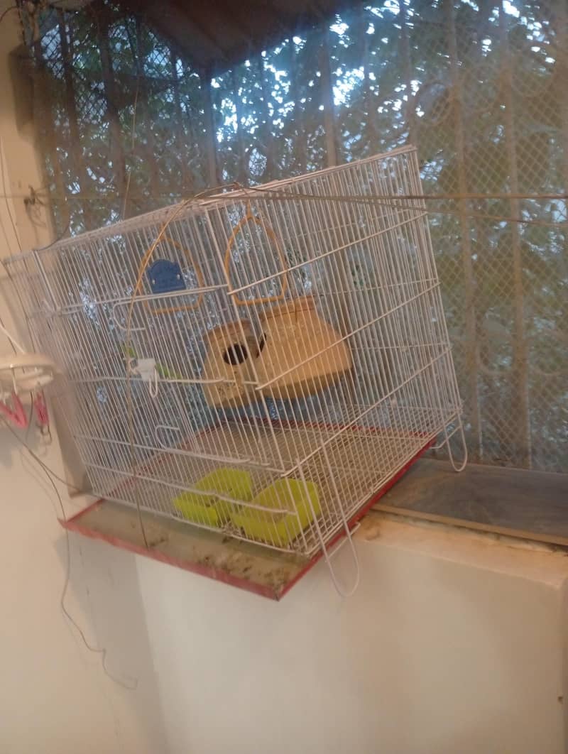 Bird cage 3