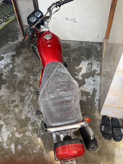 Honda 125 2021