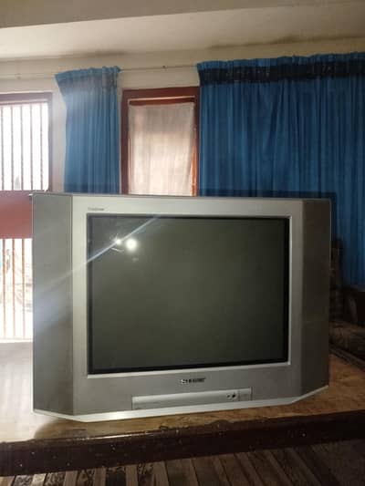 Sony 21 inch TV