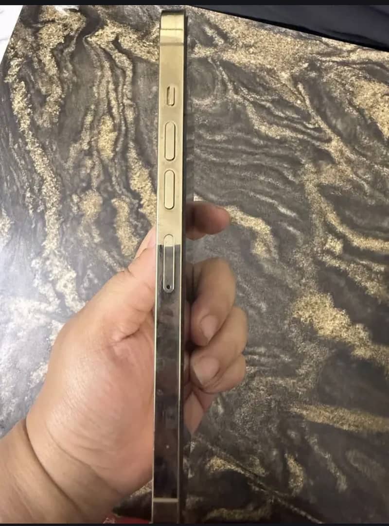 Apple iPhone 13 Pro Max 0
