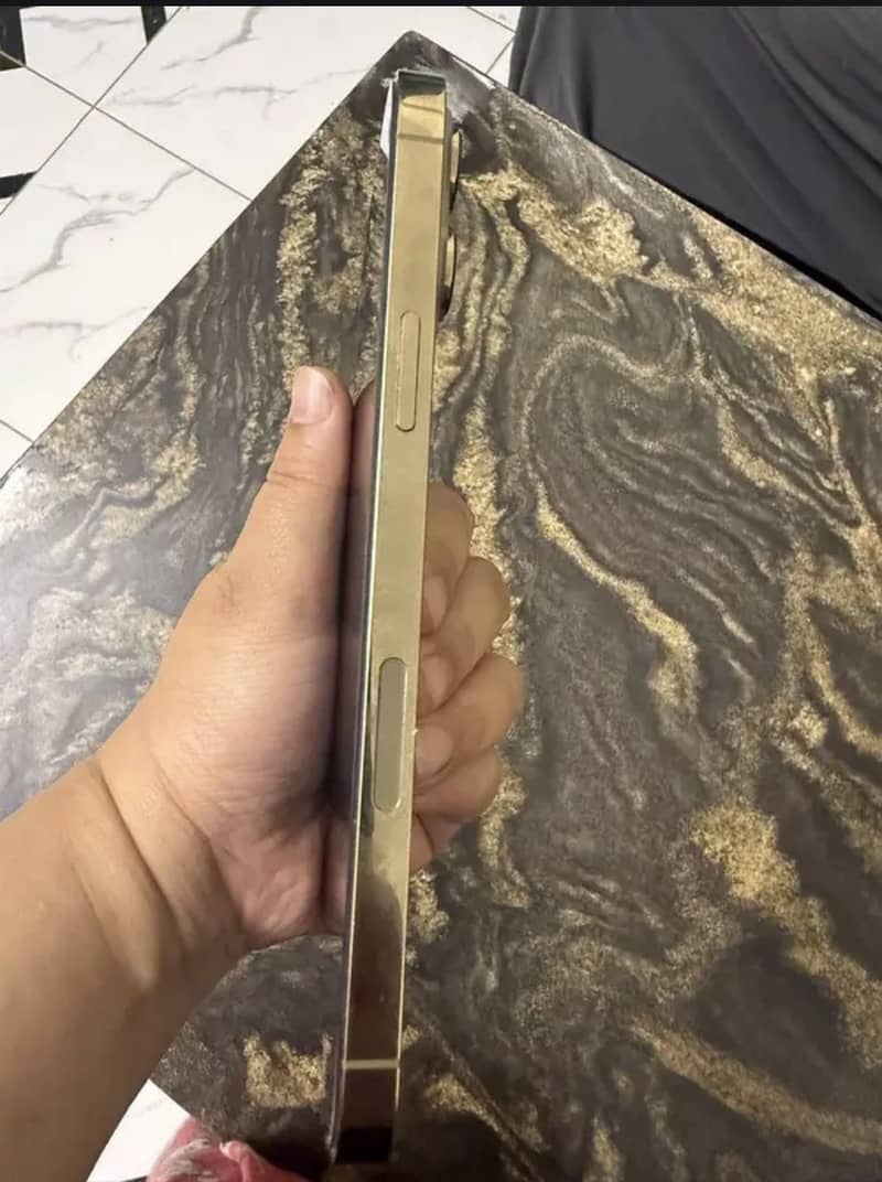 Apple iPhone 13 Pro Max 2