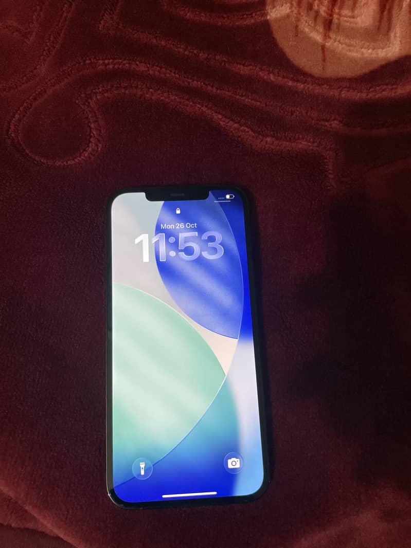 Apple iPhone 12 Pro Max 0