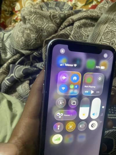 Apple iPhone 11 glitch pta ha