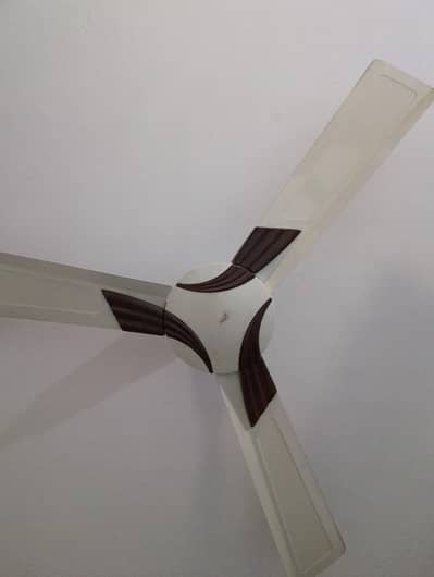 royal ceiling fan
