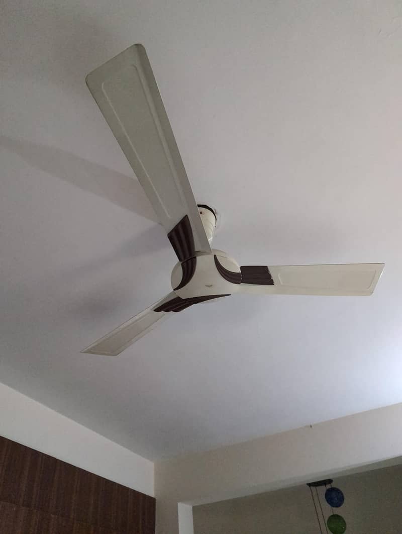 royal ceiling fan 1