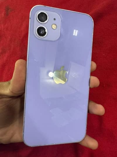 Apple iPhone 12