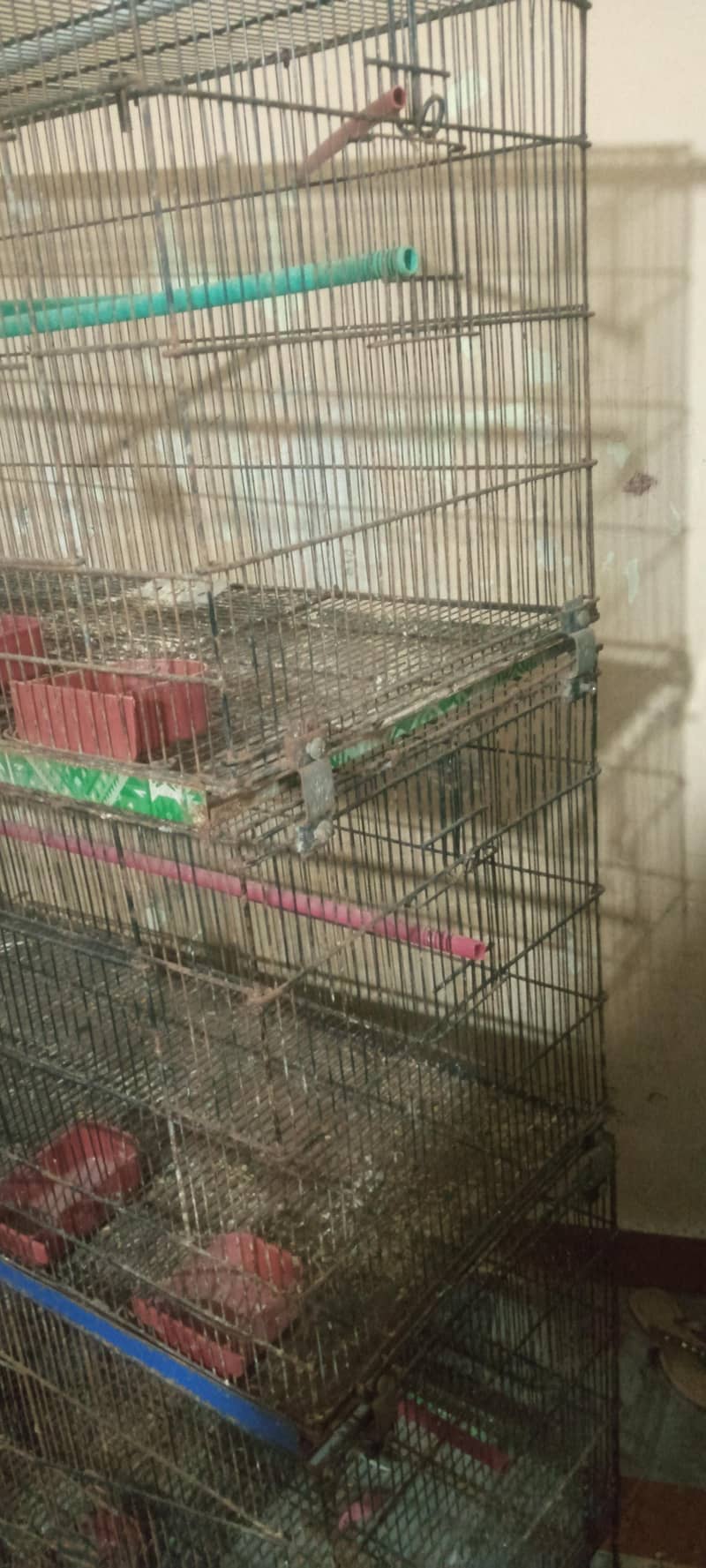 FOLDING CAGE 1