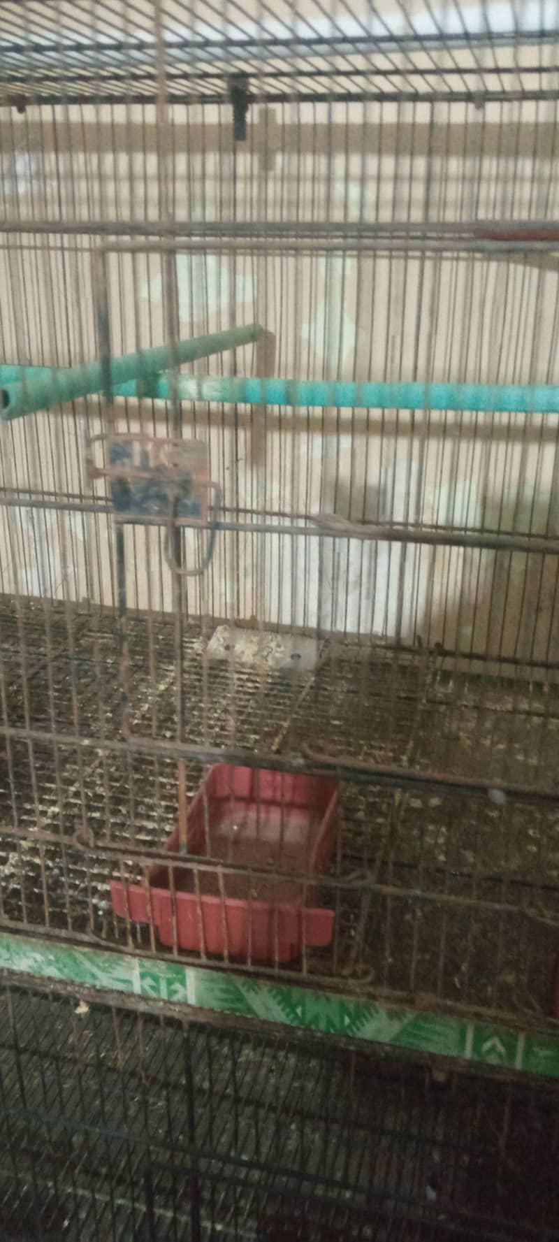 FOLDING CAGE 2
