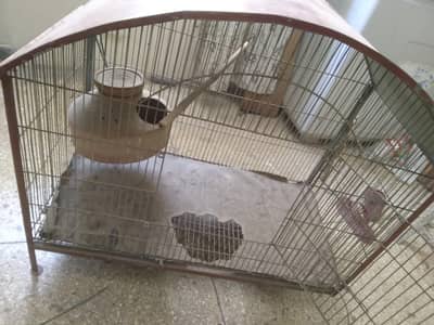 Bird Cage
