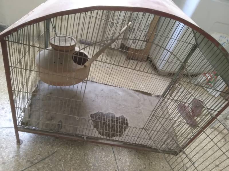 Bird Cage 0