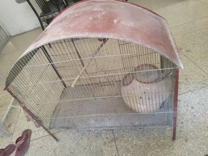 Bird Cage 1