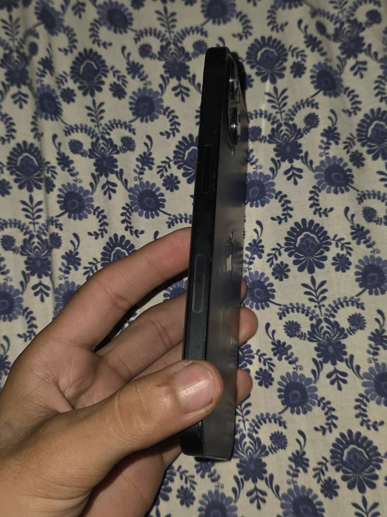 Apple iPhone 13 0