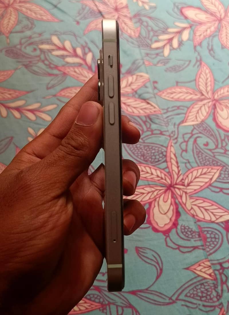 Apple iPhone 12 2