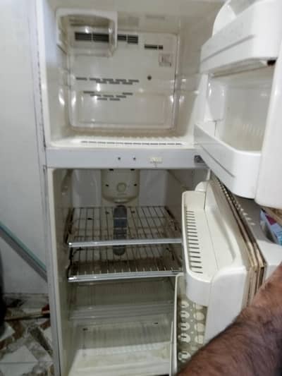 No frost refrigerators hai