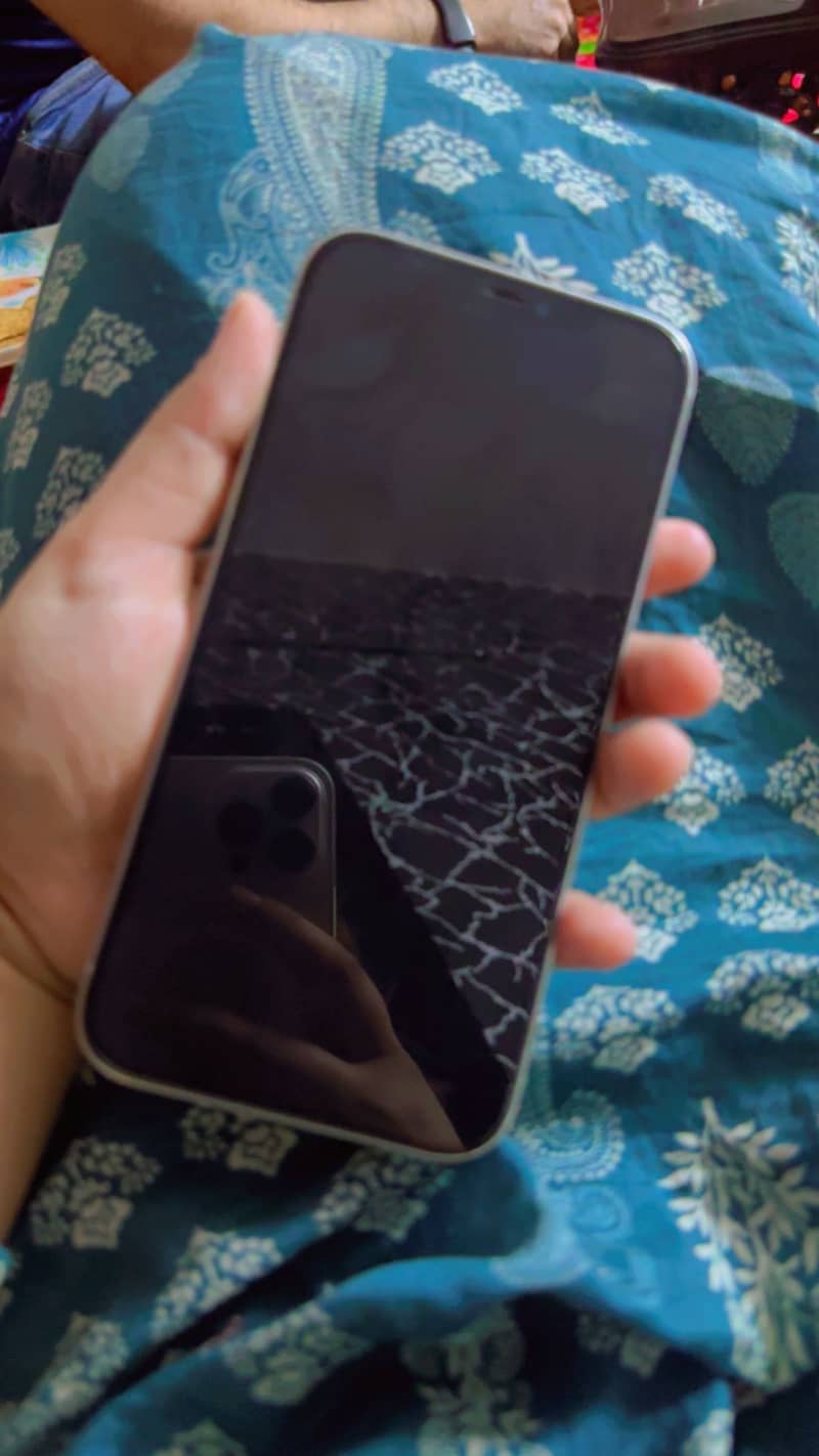 Apple iPhone 12 Pro Max 3