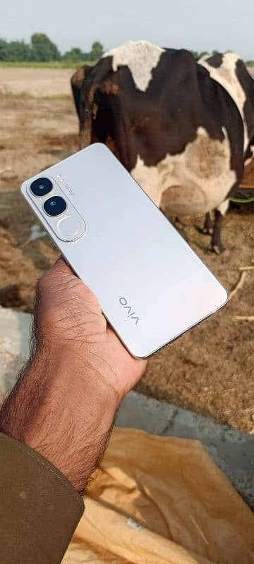 Vivo Y200 4G 8+8Ram /256 memory official PTA approved