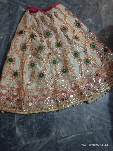 Full Mirror Lehenga