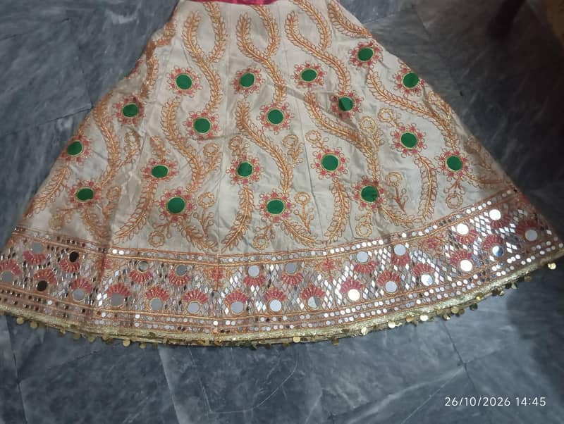 Full Mirror Lehenga 2