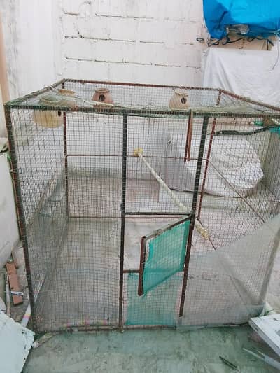 cage(Pingra) for Hens, Pigeons,Birds