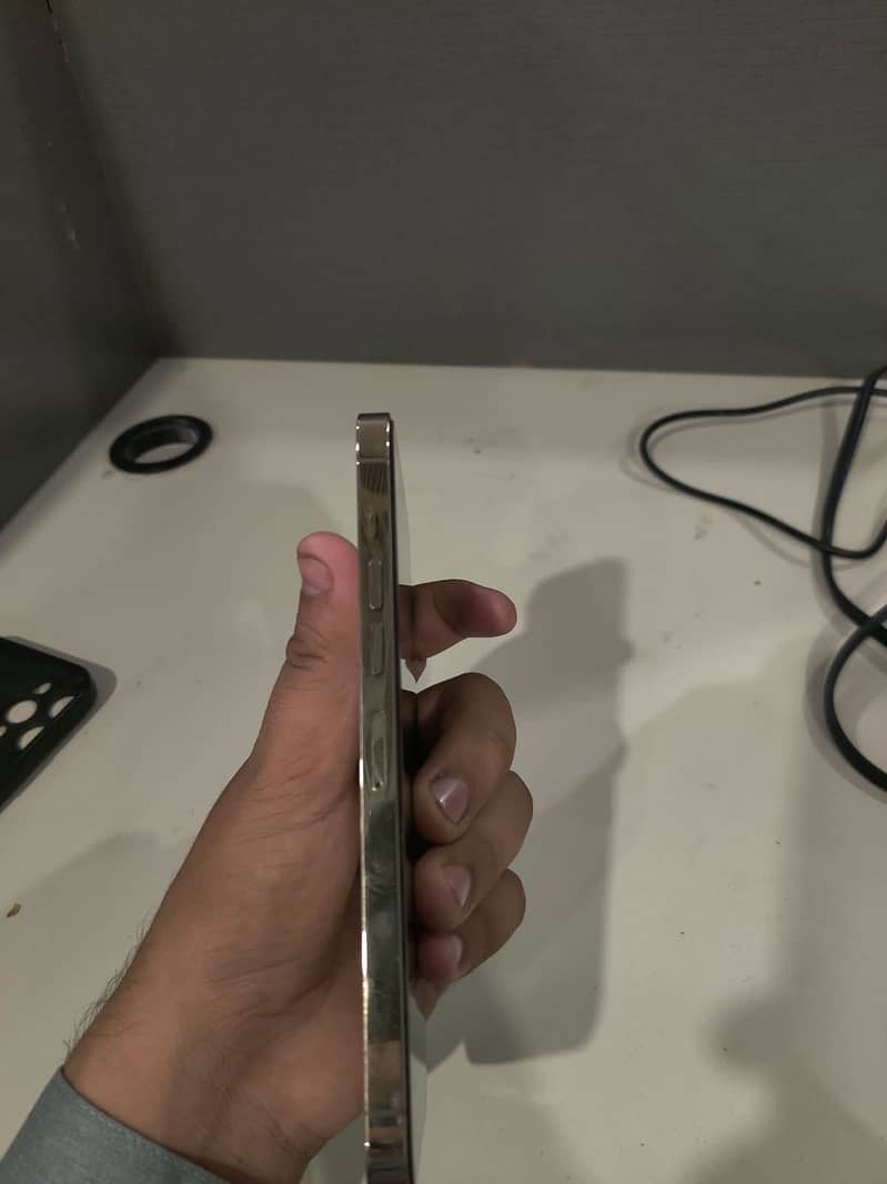 Apple iPhone 13 Pro Max 1