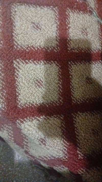 carpet 13*13