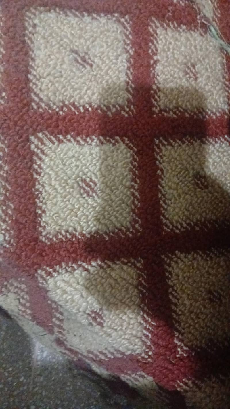 carpet 13*13 0