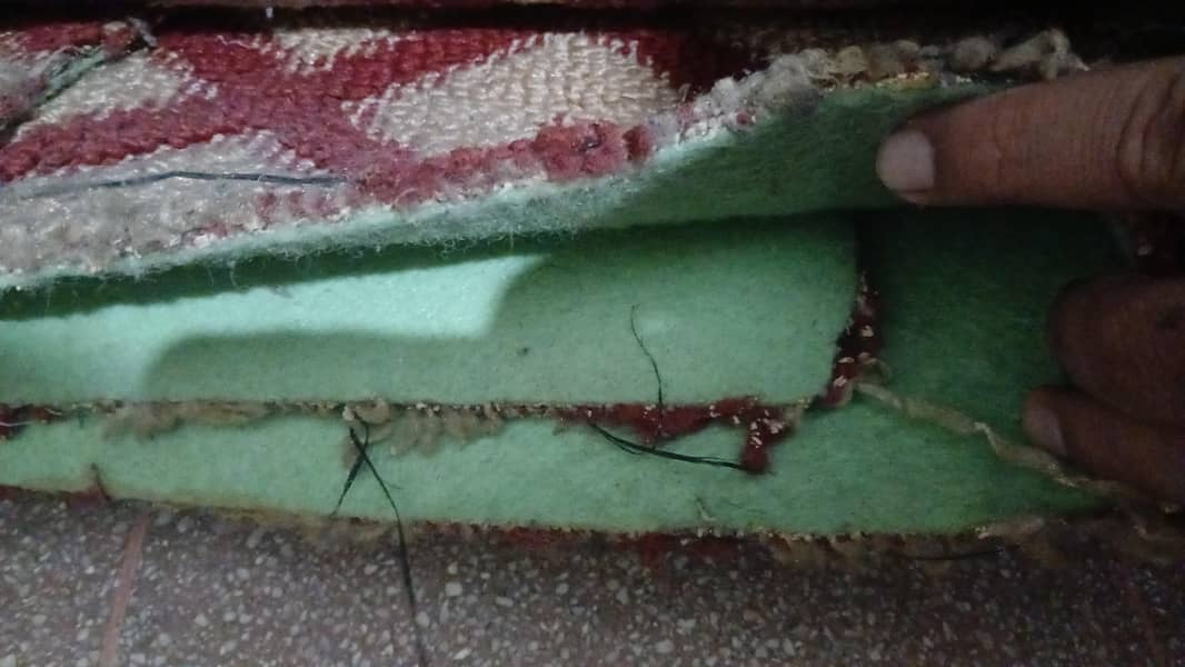 carpet 13*13 1