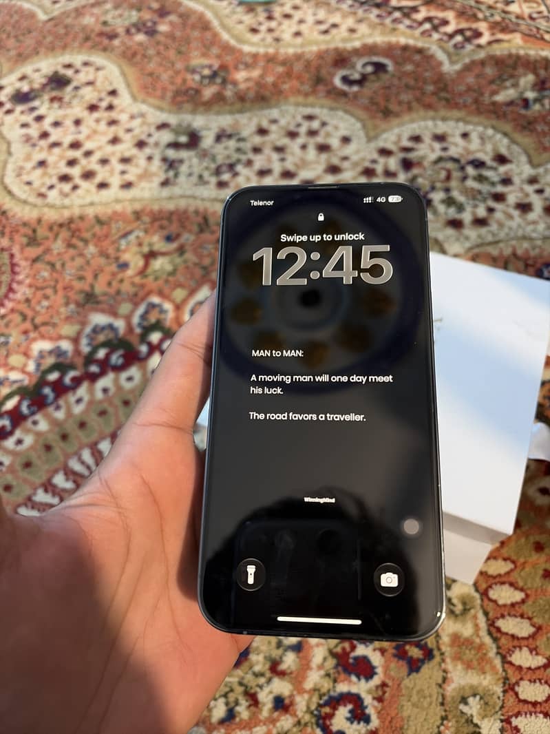 Apple iPhone 13 Pro Max 1