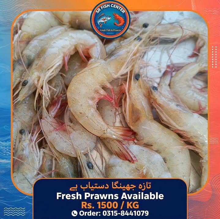 Fresh Fish and Prawns Available - Karachi - Rs 1500/KG - Fish - 1120916669