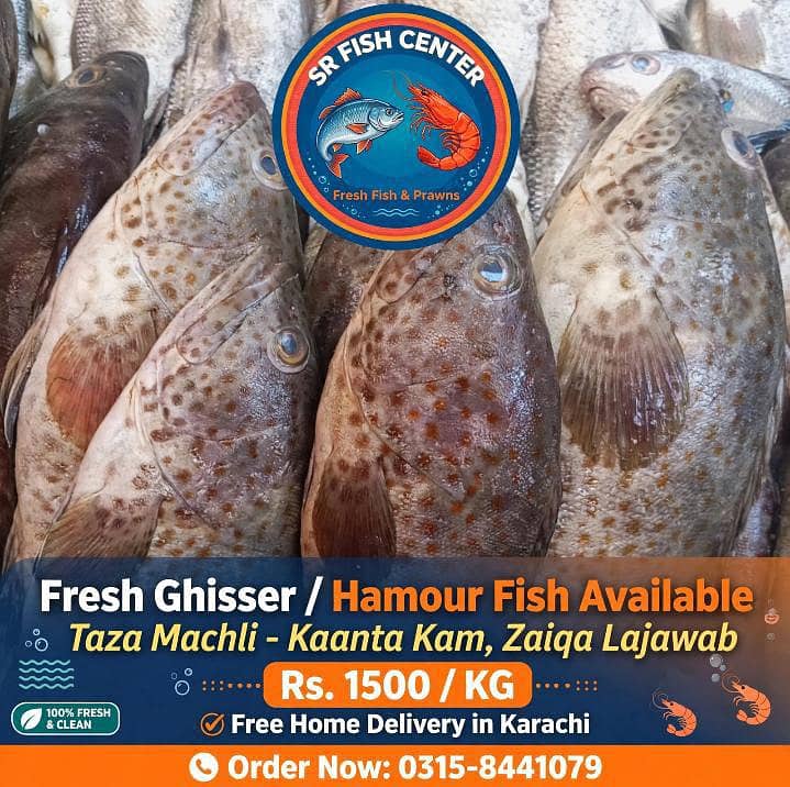 Fresh Fish and Prawns Available - Karachi - Rs 1500/KG - Fish - 1120916669