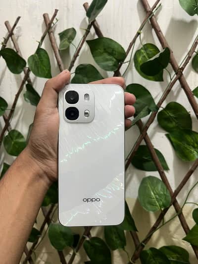 OPPO A6s 8/256