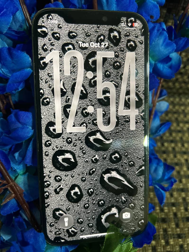 Apple iPhone 12 Pro 1