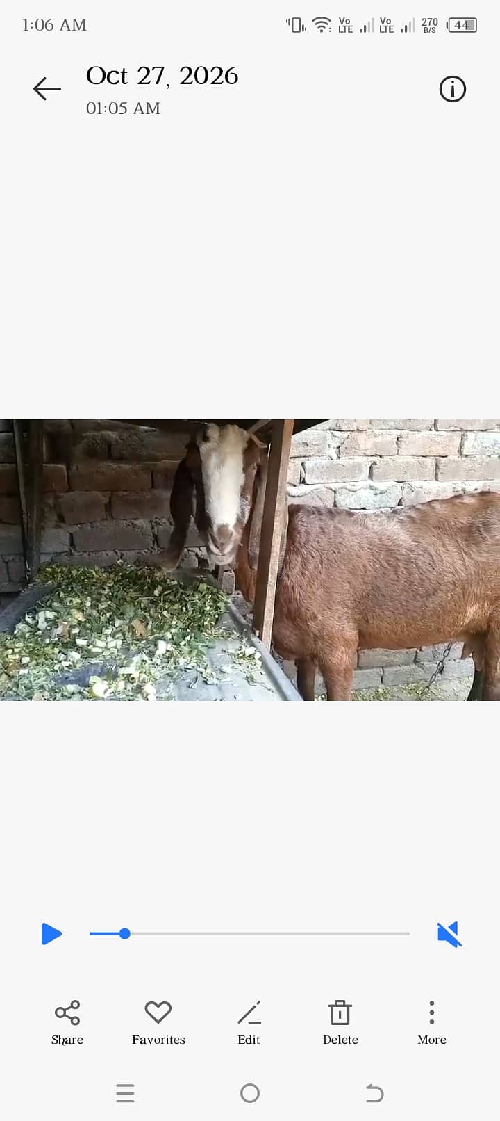 Desi Bakri 0