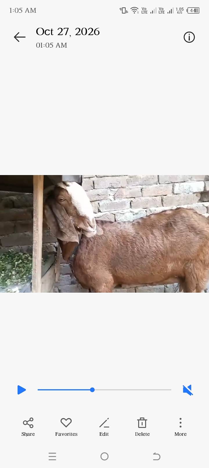 Desi Bakri 1