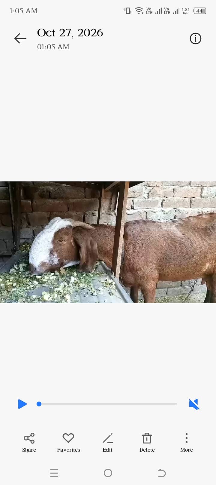 Desi Bakri 2