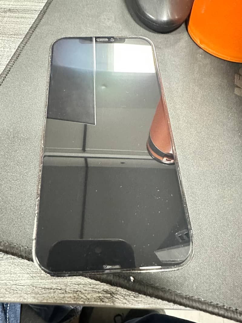 Apple iPhone 12 Pro Max 1