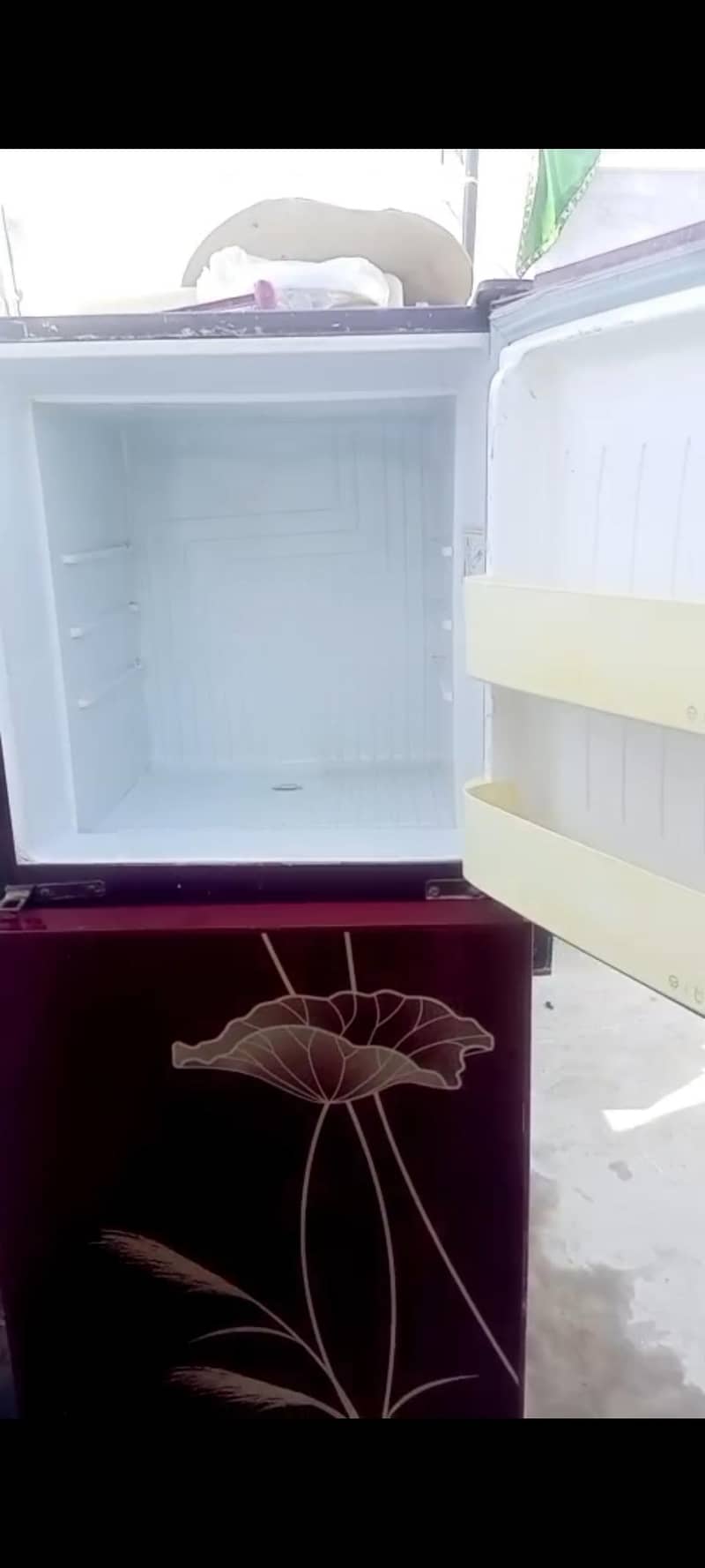 Orient good performance - Freezers - 1120917170