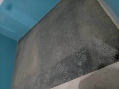 Carpet in good condition.