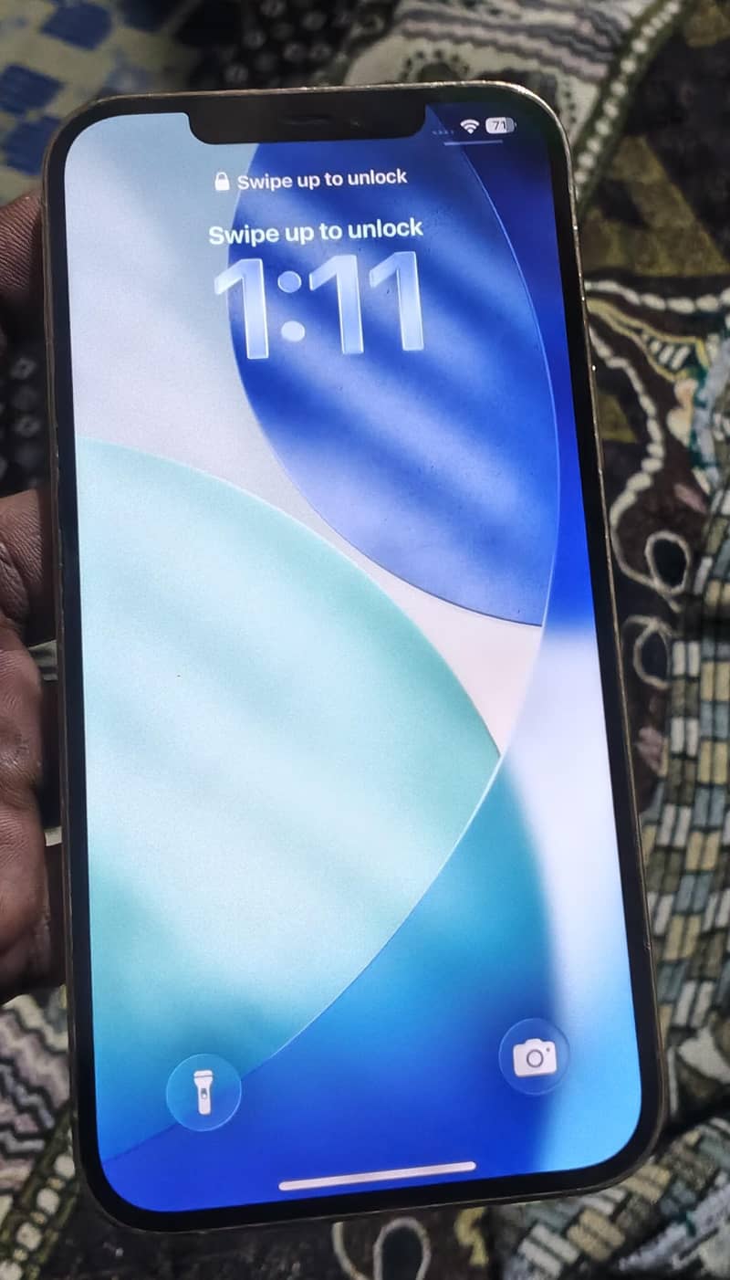 Apple iPhone 12 Pro Max 1