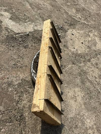 ceiling randa scrubber