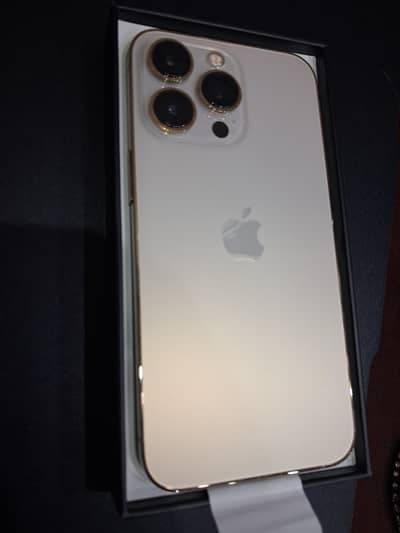 Apple iPhone 13 Pro