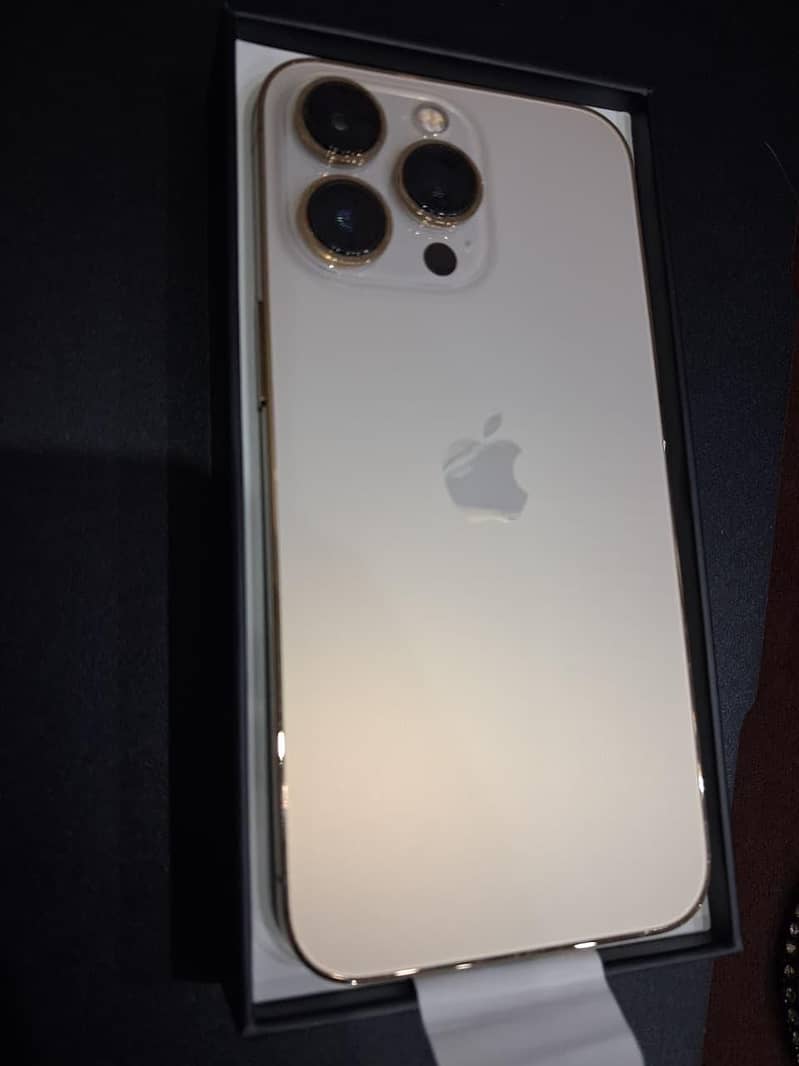 Apple iPhone 13 Pro 0