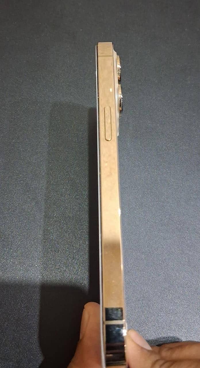 Apple iPhone 13 Pro 6