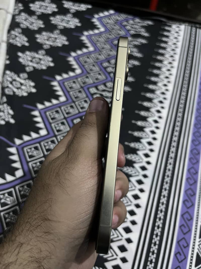 iPhone 12 Pro Max 1